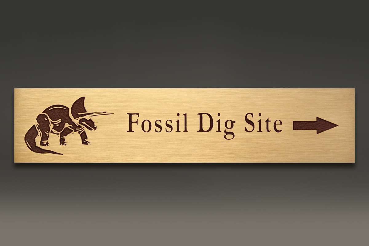 Bronze fossil dig site plaque with image of triceratops