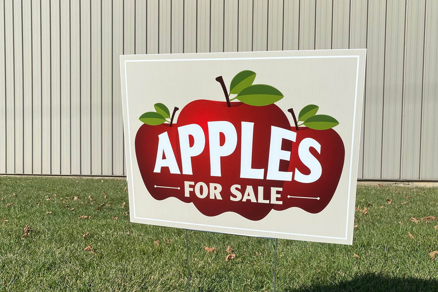 Apples for sale yard sign featuring three red apples